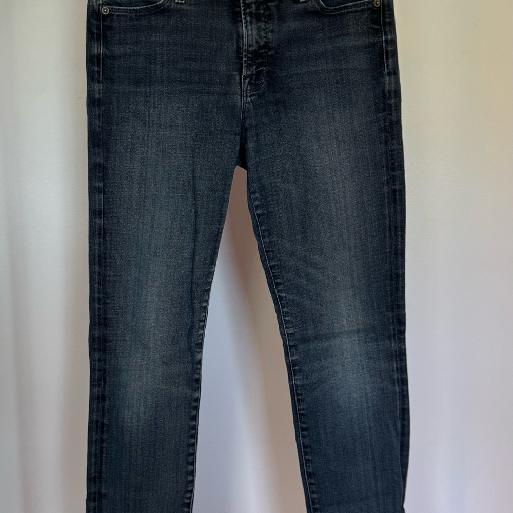 LUCKY Brand Women’s Blue Skinny Jeans - 28